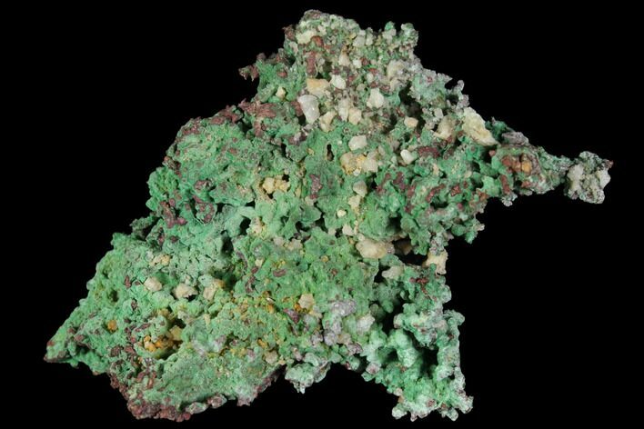Natural, Native Copper with Quartz - Morocco #117685